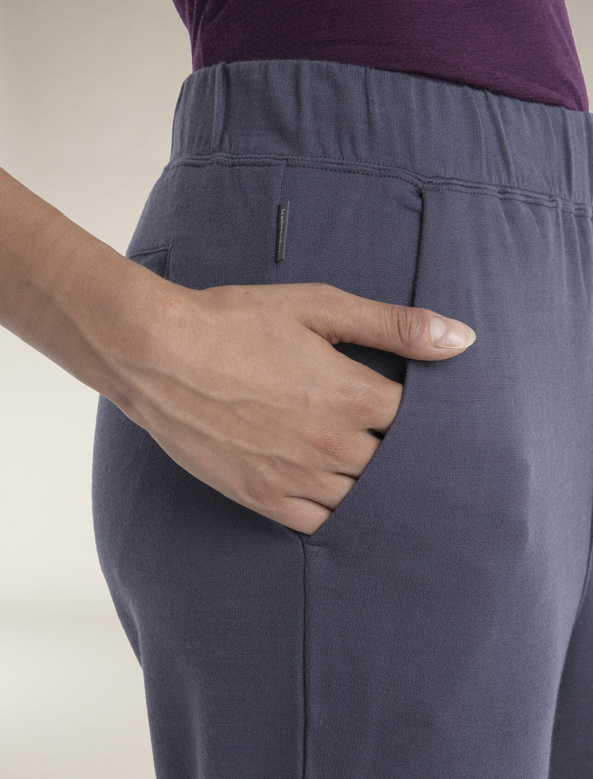 Icebreaker Women's Merino Blend Ii 200 Crush Ankle Pants
