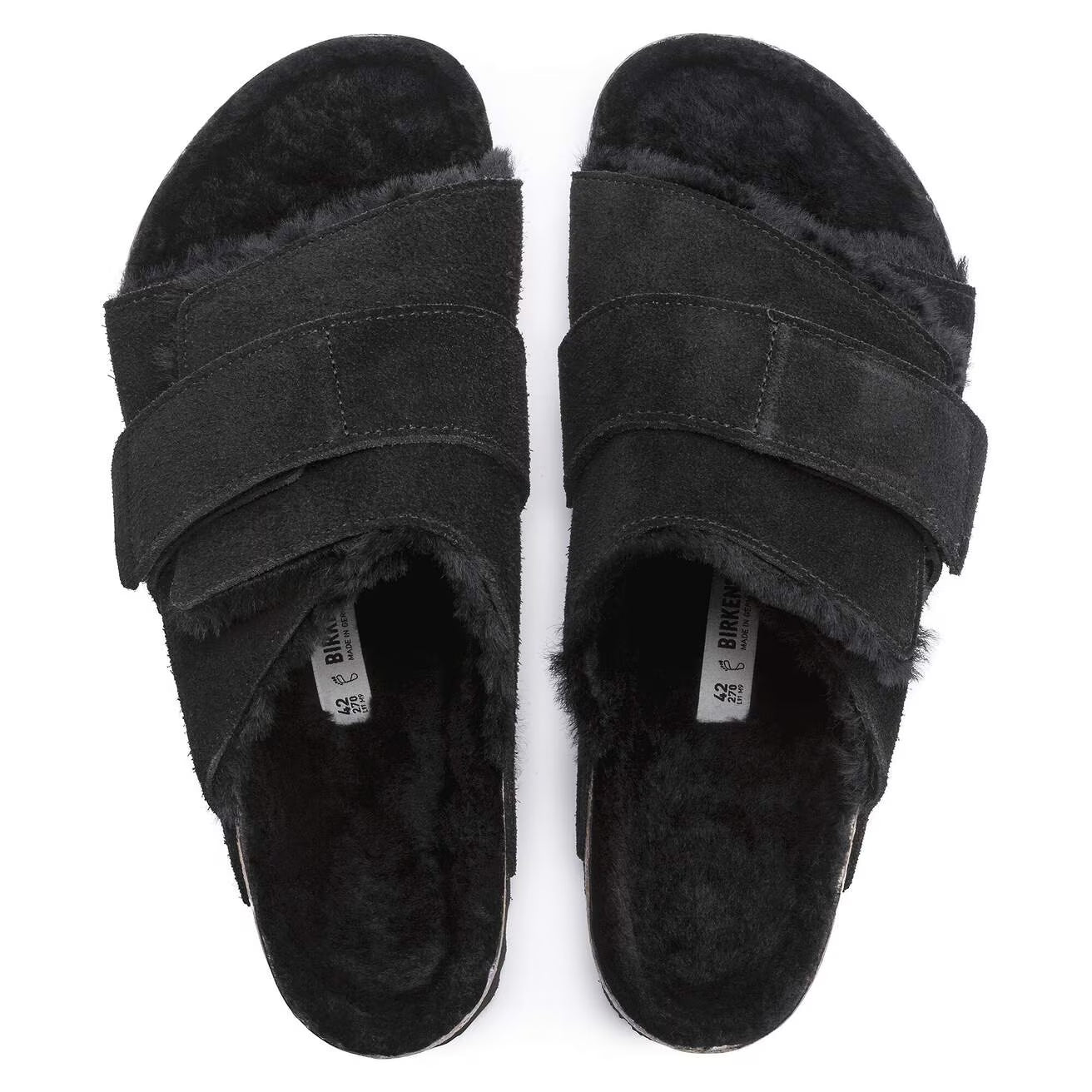 Black-