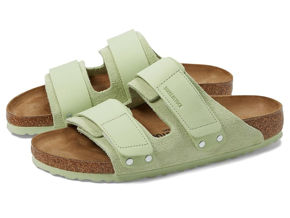 Faded Lime-