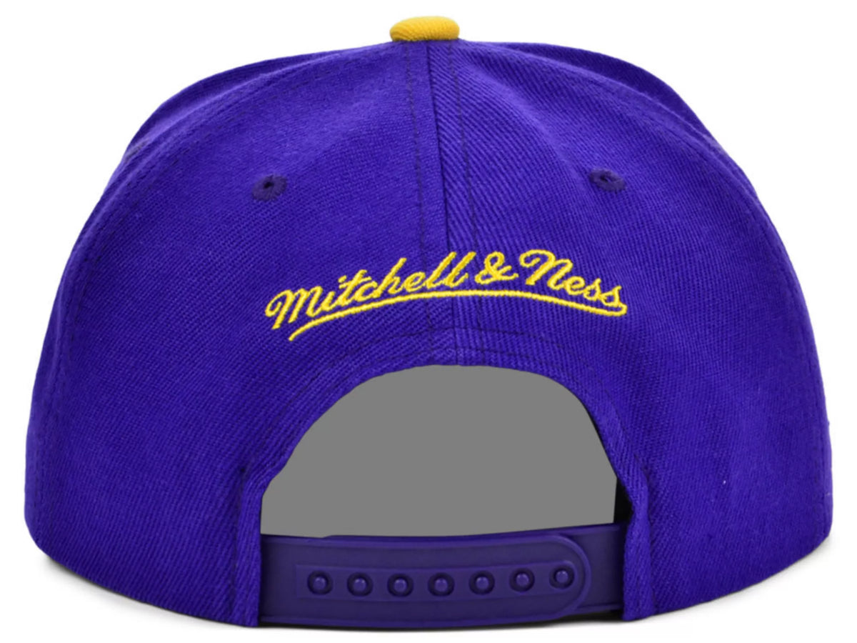 Mitchell & Ness Men's NBA Charlotte Hornets Core Snapback Snapback Caps