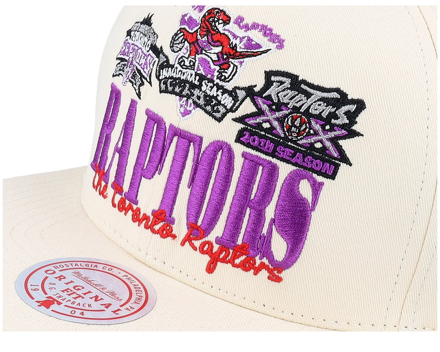 Mitchell & Ness Men's NBA Reframe Retro Snapback Hwc Raptors Snapback Caps