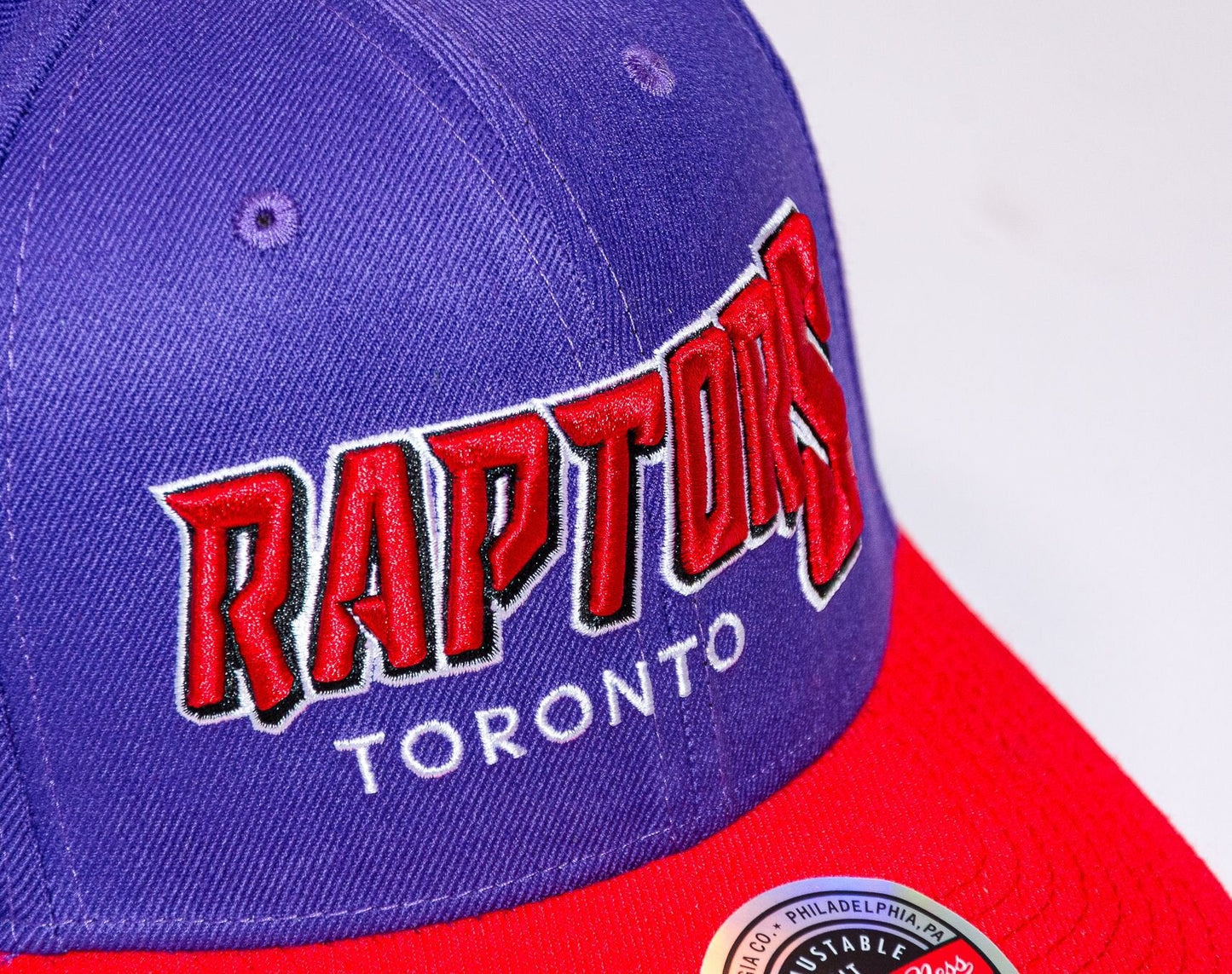 Men's Mitchell & Ness NBA Shredder Stretch Snapback Hwc Raptors - Purple