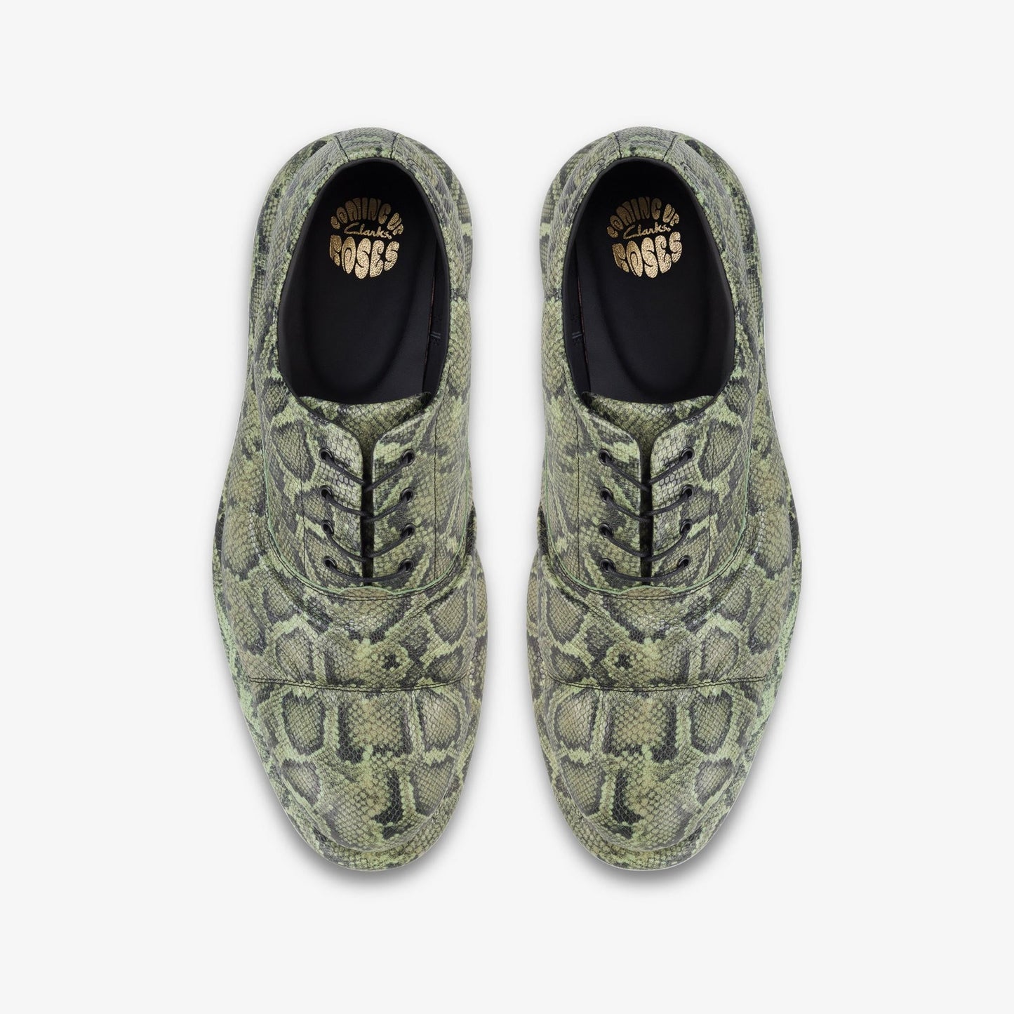 Mens Clarks Cur Martine Rose Oxford 1 - Green Snake