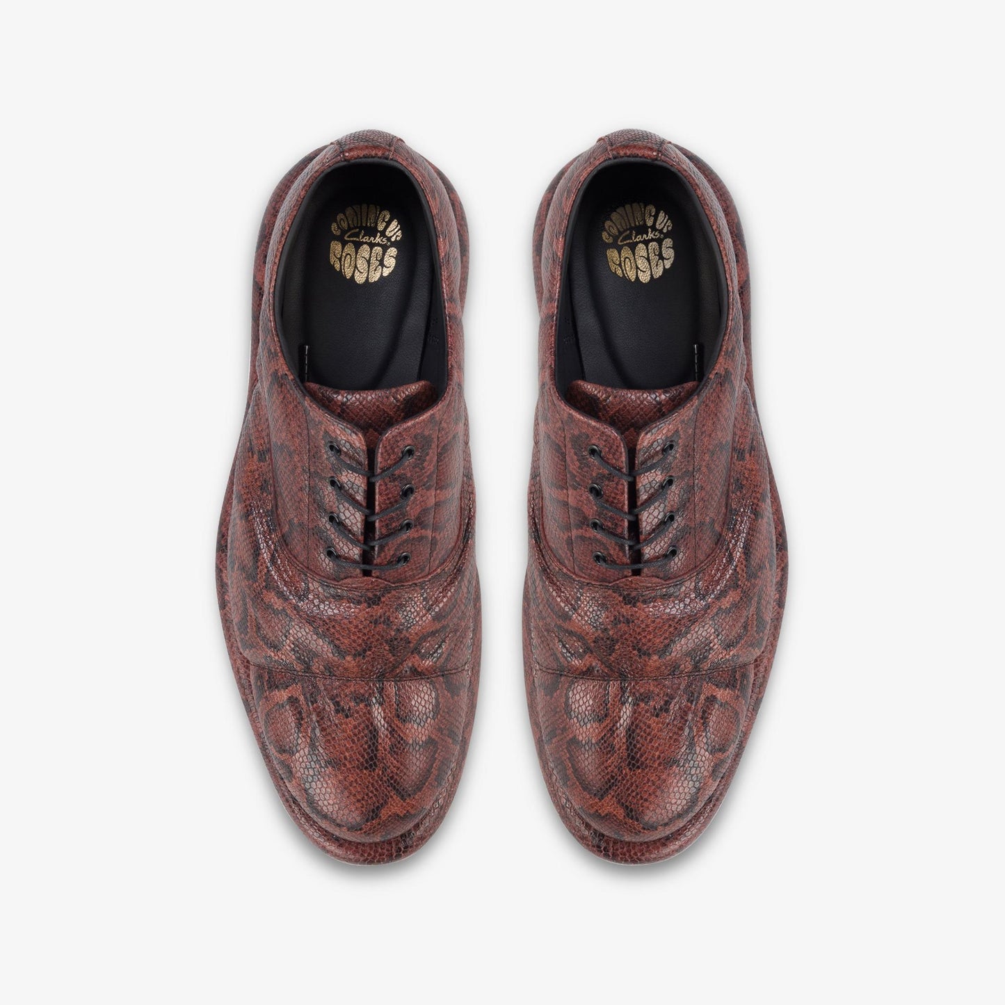 Mens Clarks Cur Martine Rose Oxford 1 - Brown Snake