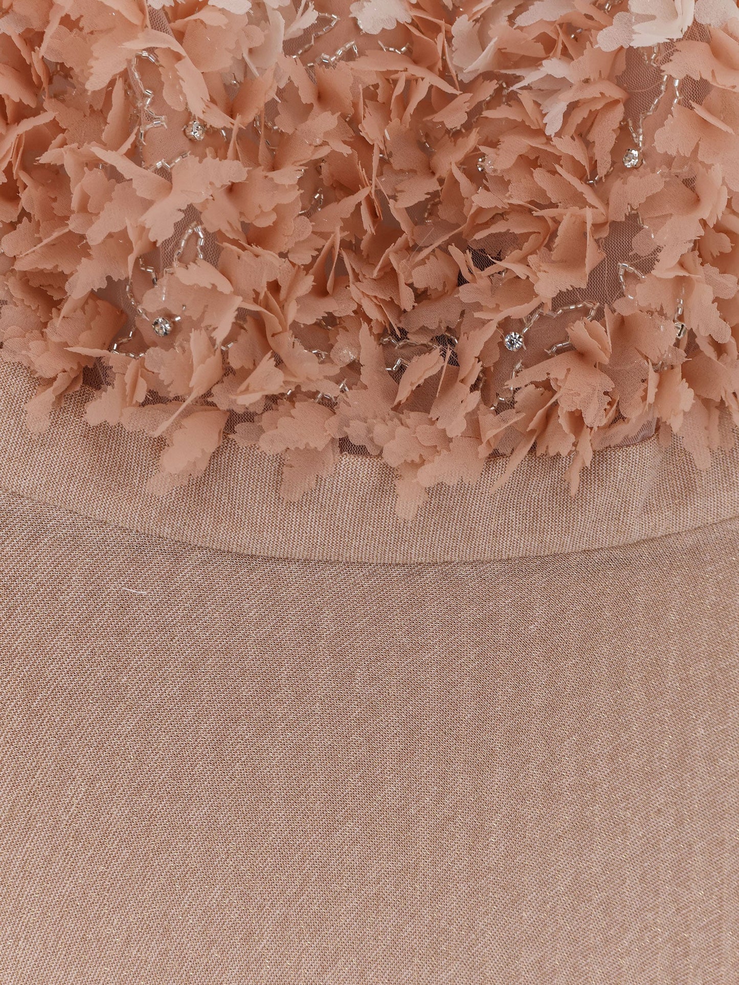 Evening Gown Pink Voile