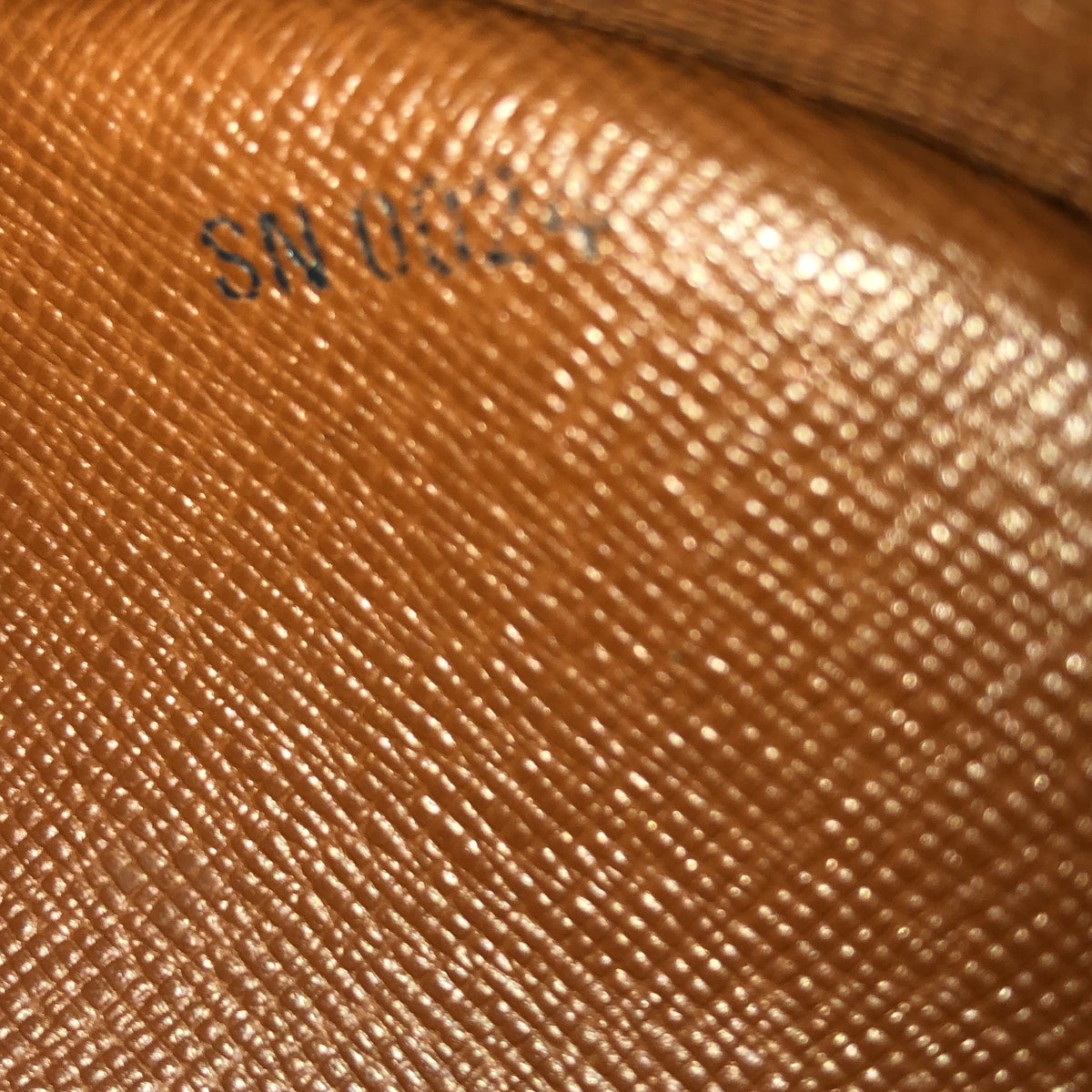 Blois Handbag Monogram Canvas