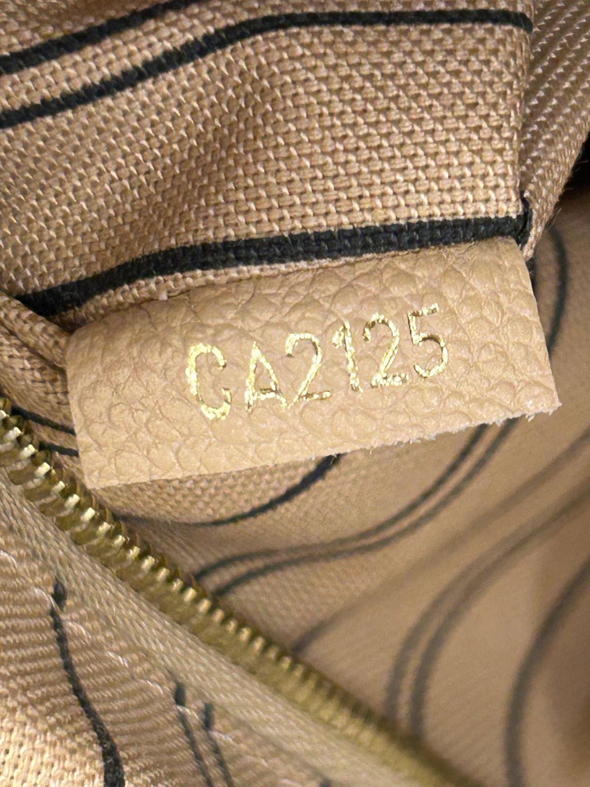 Bagatelle Hobo Monogram Empreinte Leather