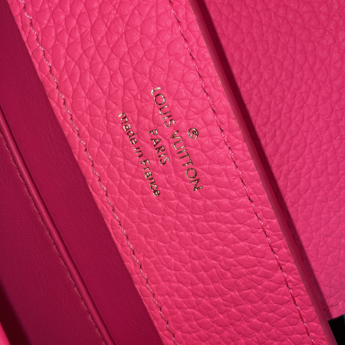 Capucine Bag Leather with Monogram Tuffetage Leather Strap Mini
