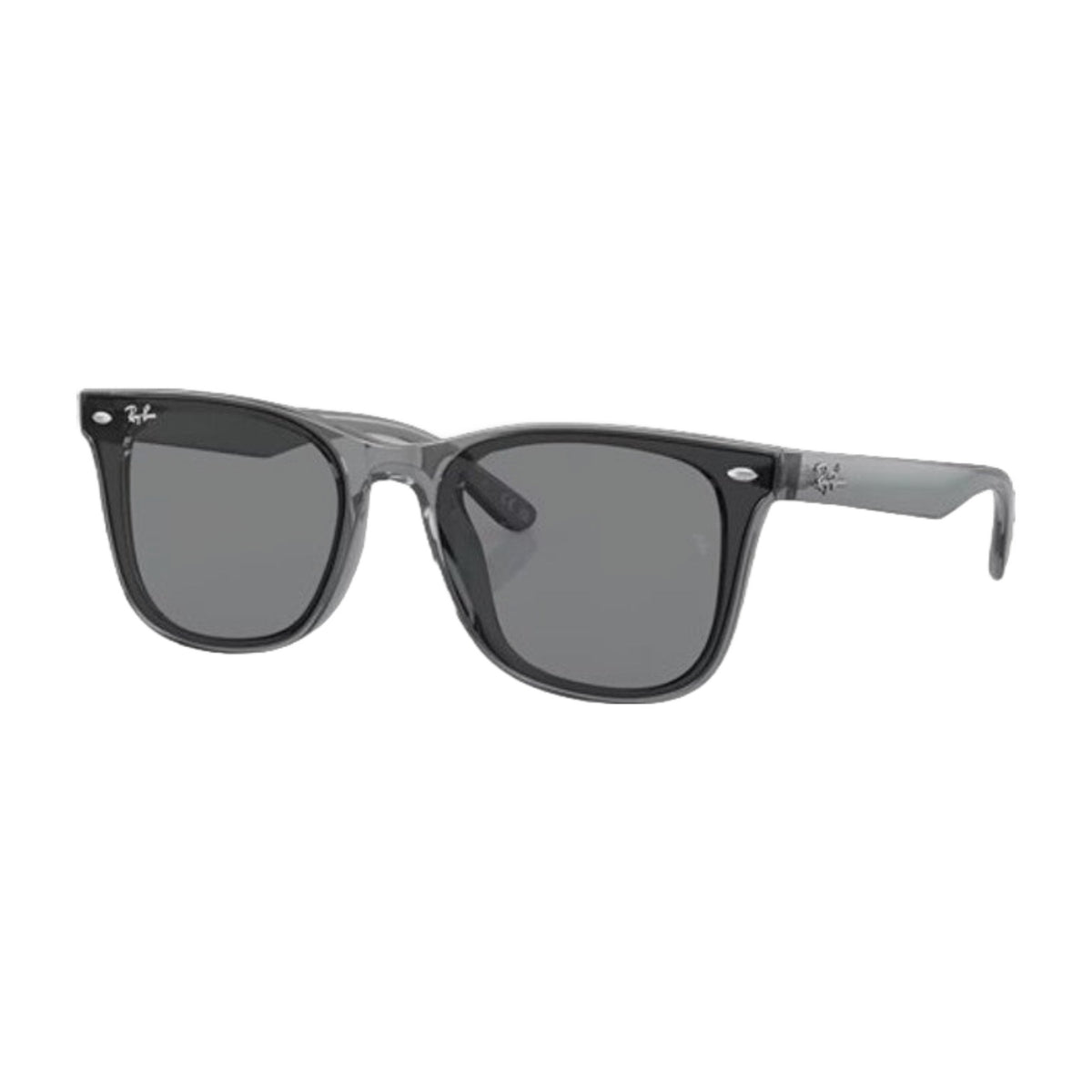 Ray-Ban Sunglasses RB4391D 645087 65