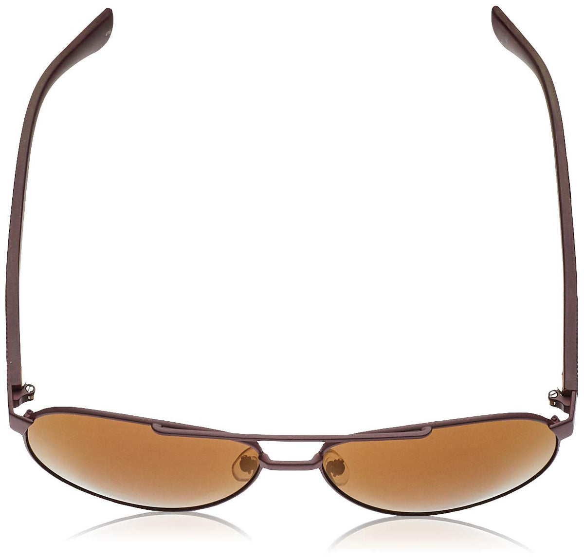 Lacoste Men's Aviator Sunglasses