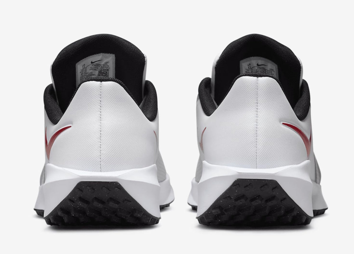 Nike Men's Infinity Golf '24 Shoes