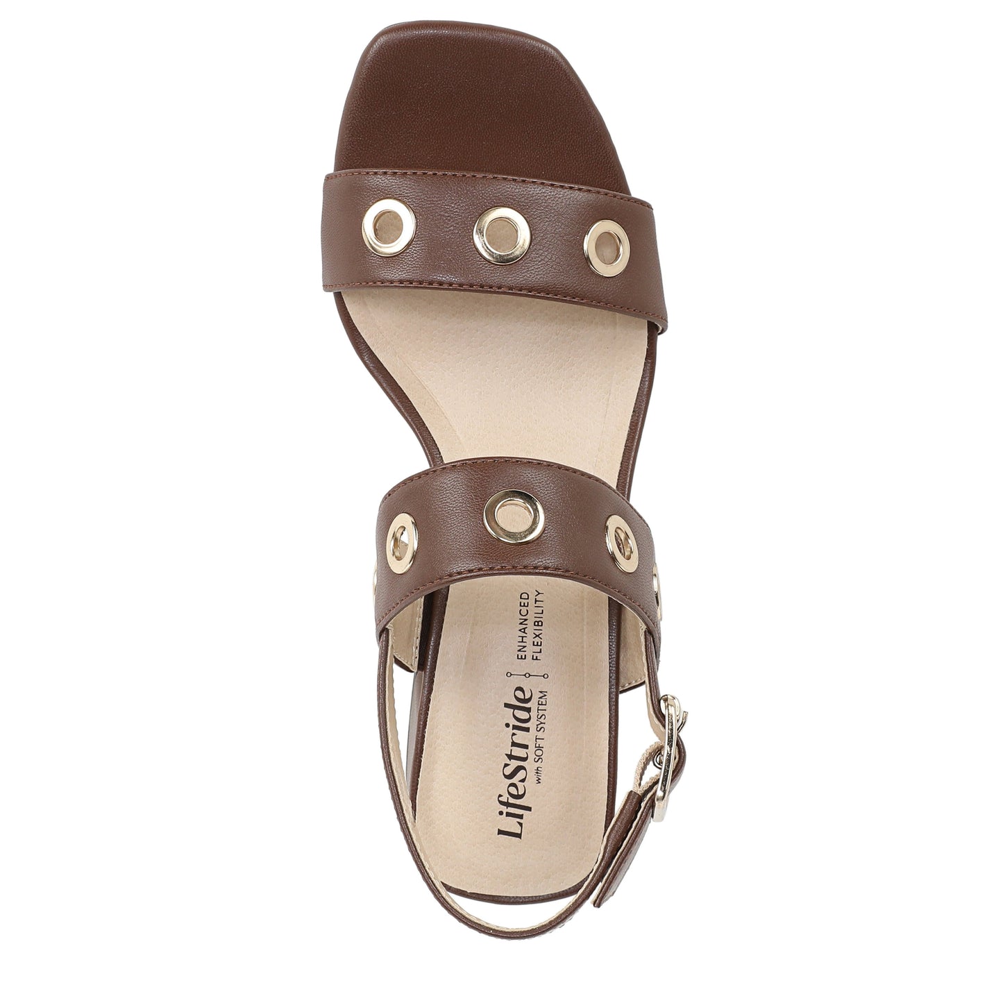 Cocoa Brown-