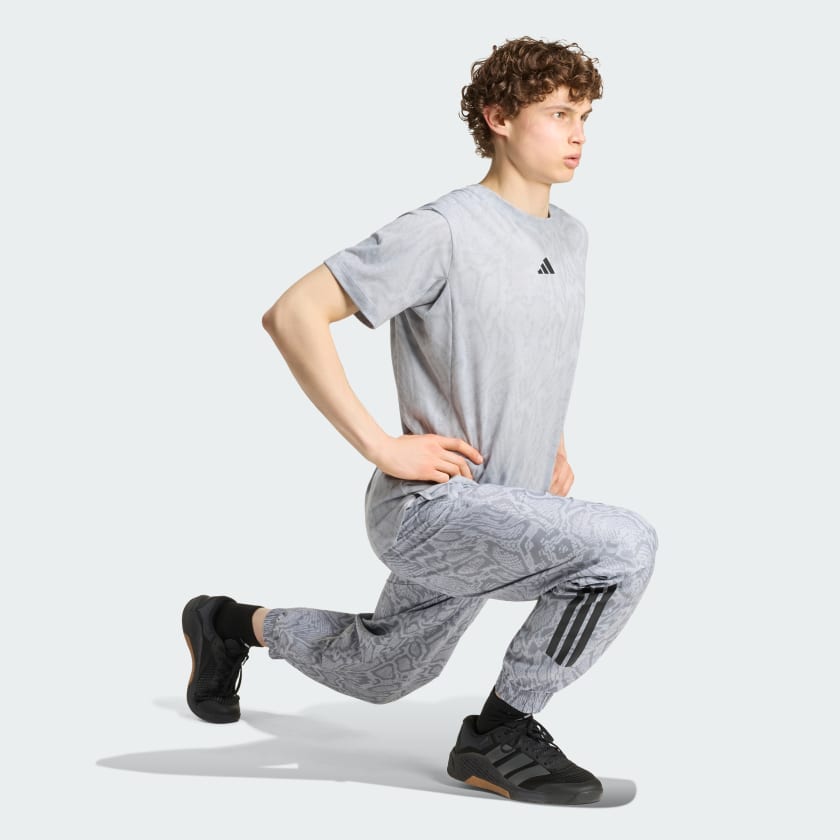 Halo Silver / Grey-