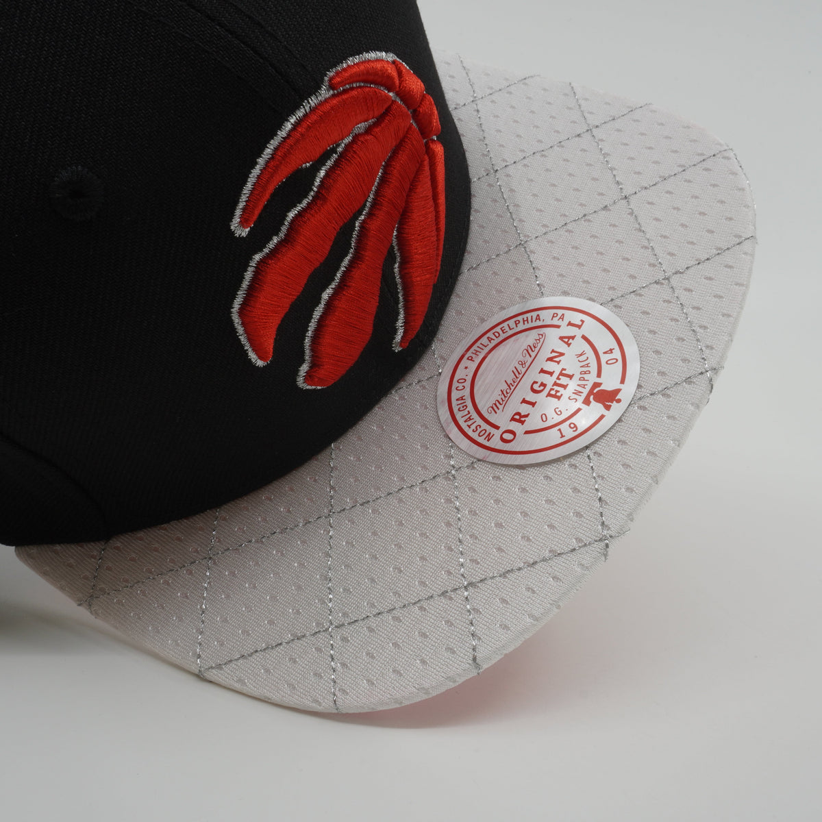 Mitchell & Ness Men's NBA 75Th Platinum Snapback Raptors Snapback Caps
