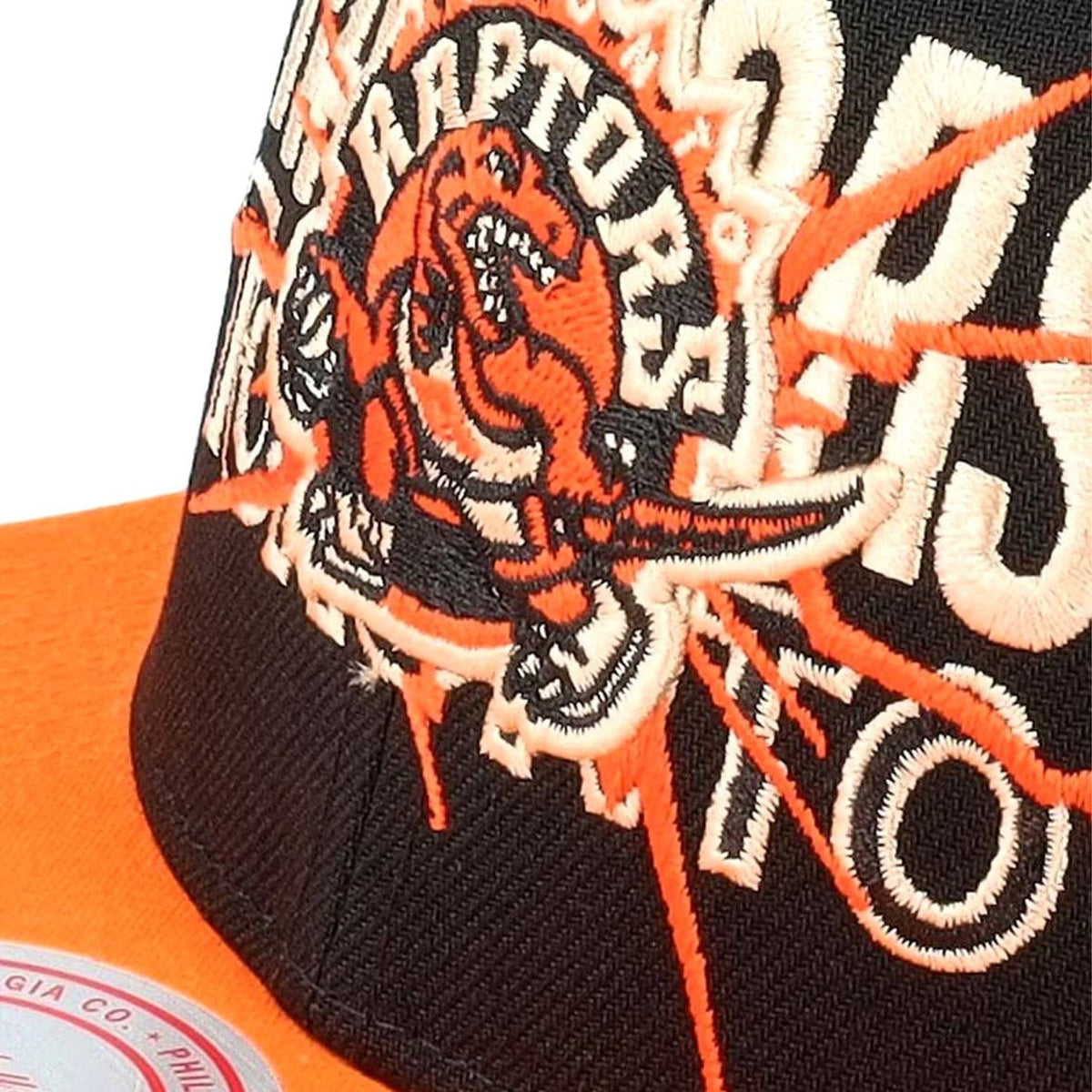 Mitchell & Ness Men's NBA Toronto Raptors Shattered Snapback Hats