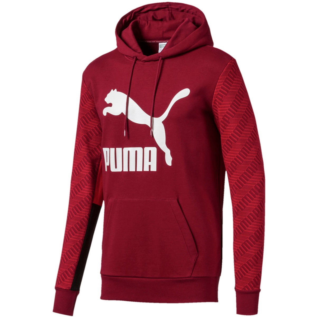 Puma Men's Classics Graphic Hoody Aop Hoodies