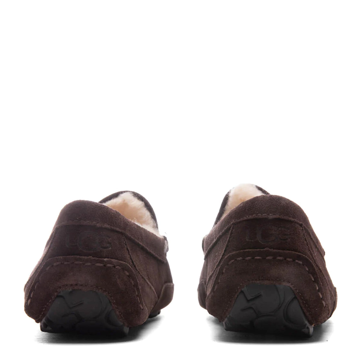 UGG Ascot Espresso Men's Slippers