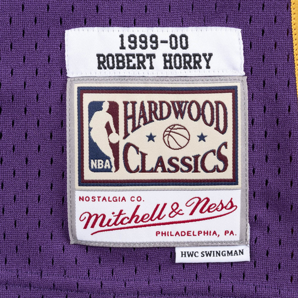 Mitchell & Ness Men's NBA Swingman Jersey Los Angeles Lakers 99-00 Robert Horry