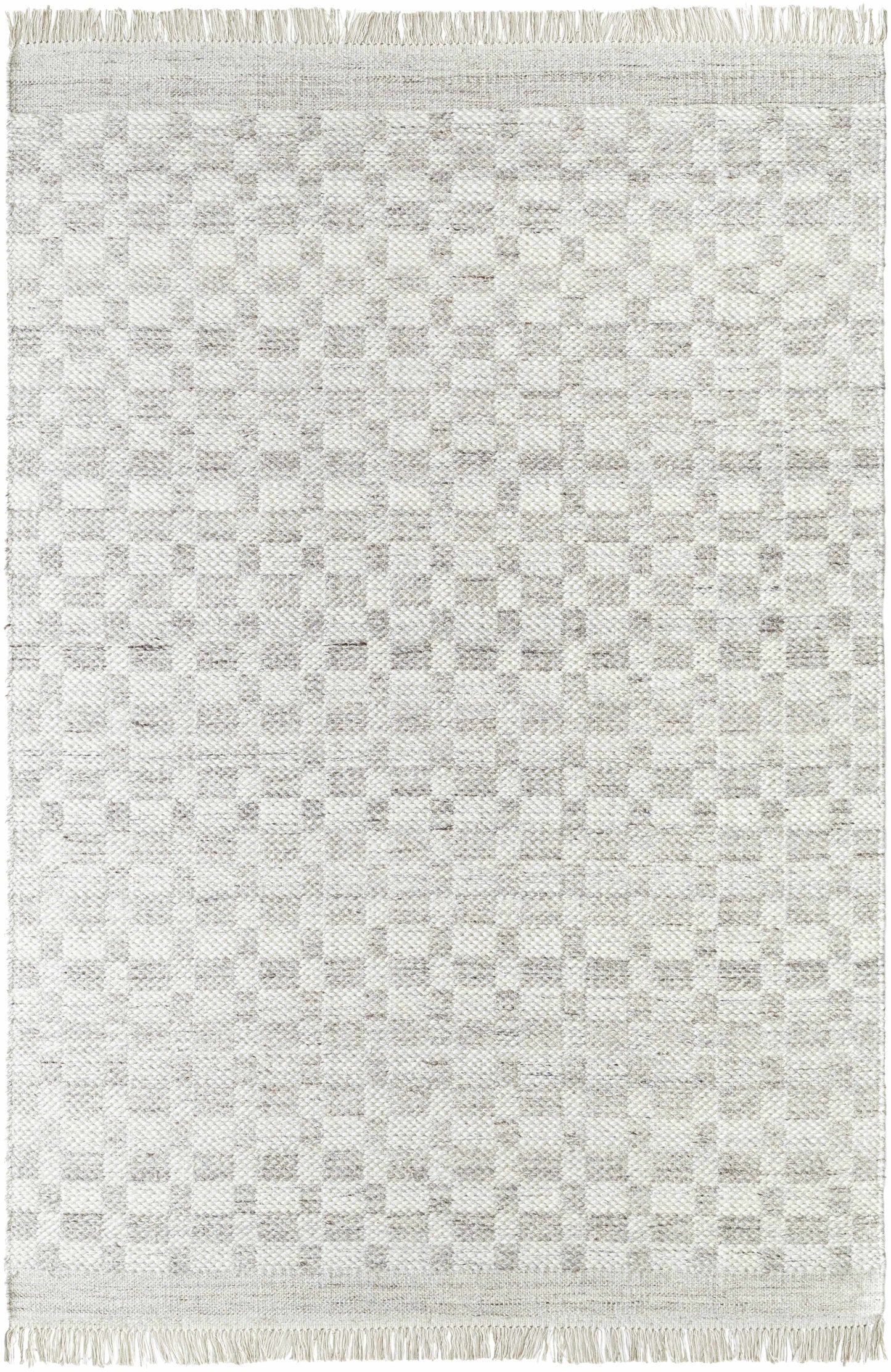 Meira Medium Gray Area Rug