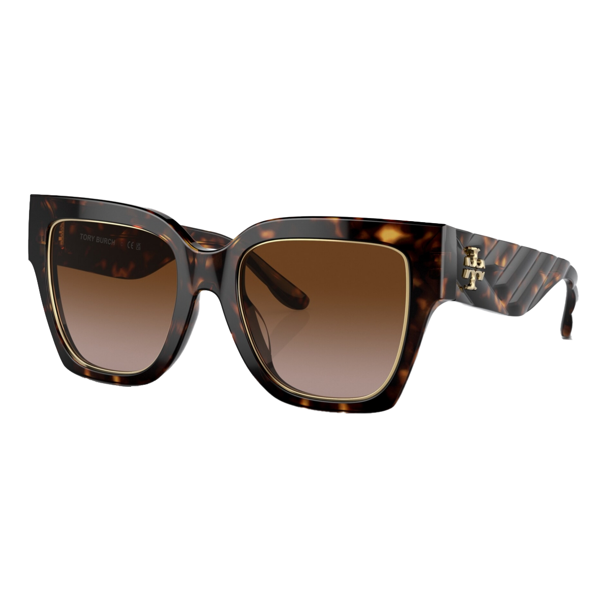 Tortoise / Brown Gradient-