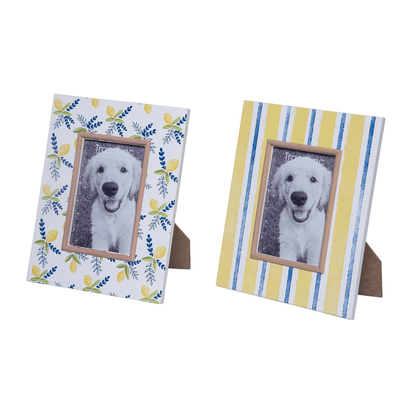 MDF Photo Frame Citrus Set of 2 Multicolored for Display and Entertaining