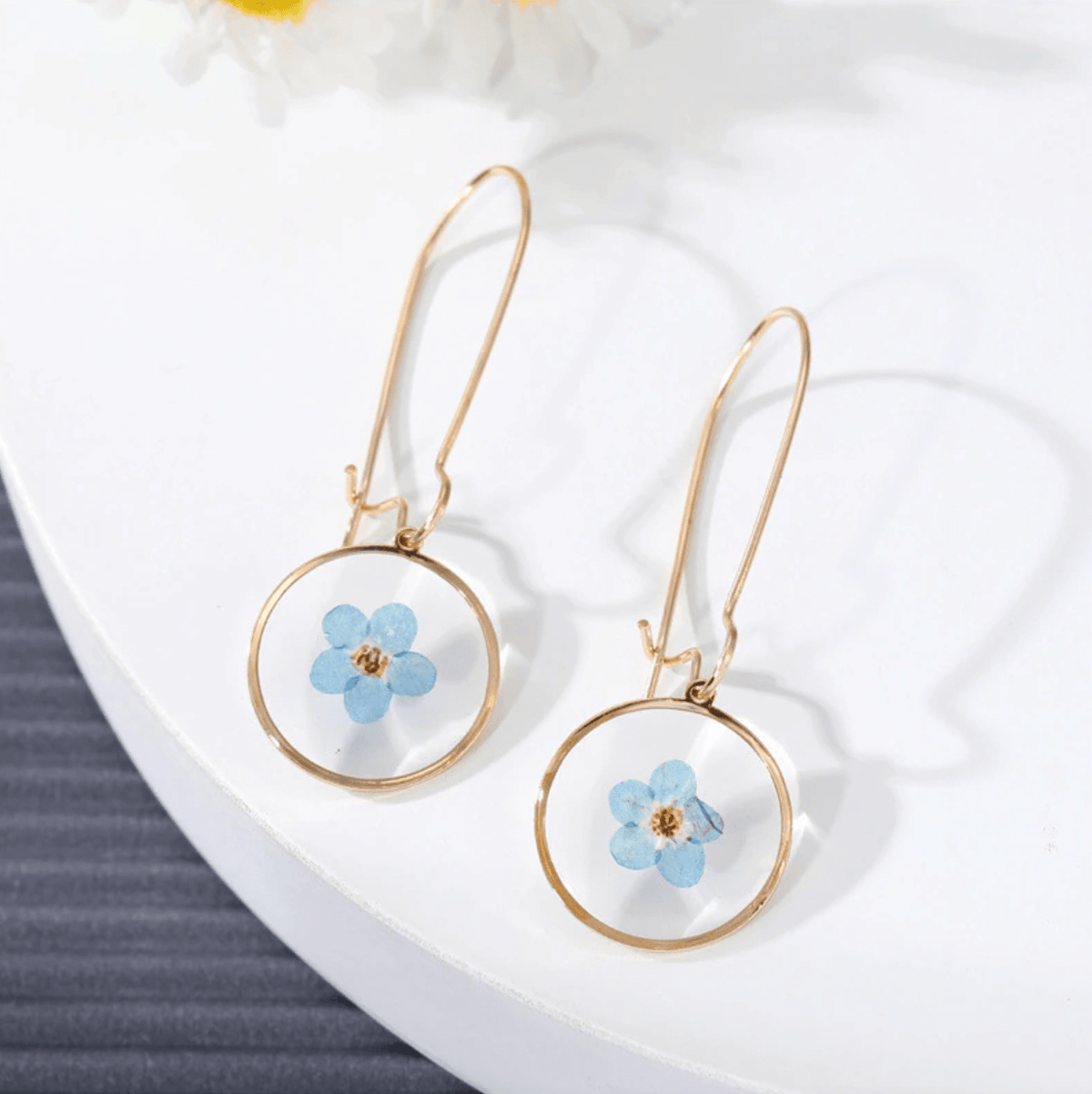 Blue / Gold-
