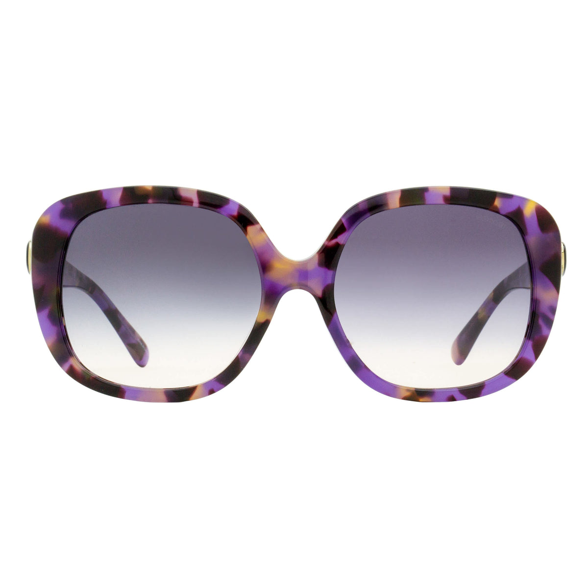 Purple Tortoise-
