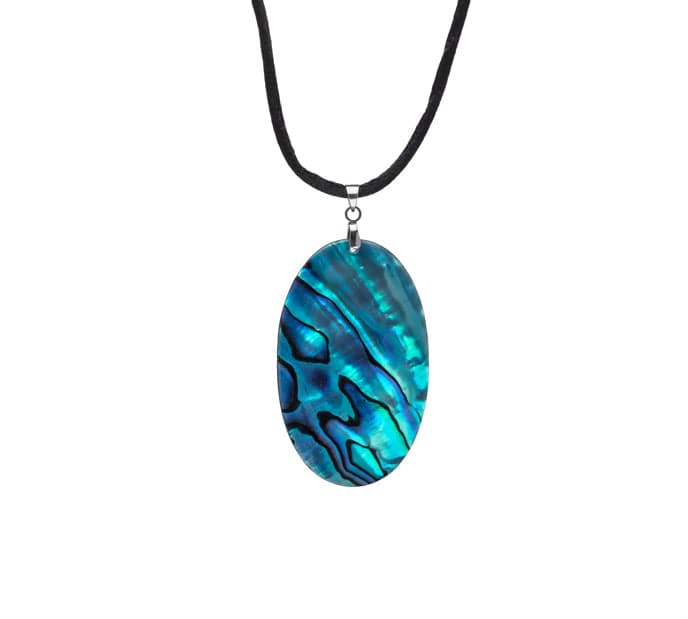 New Zealand Paua-