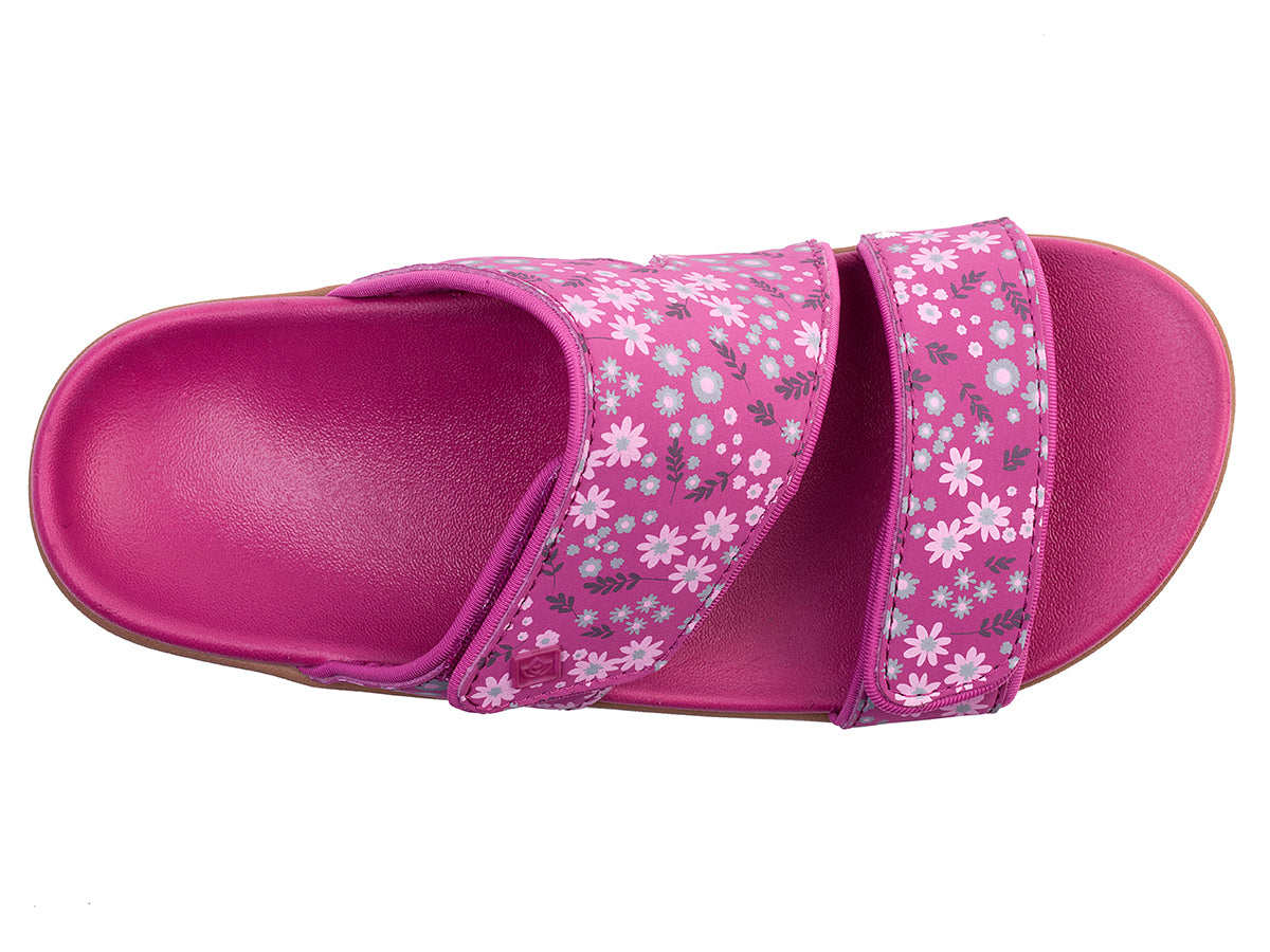 Fuchisa-