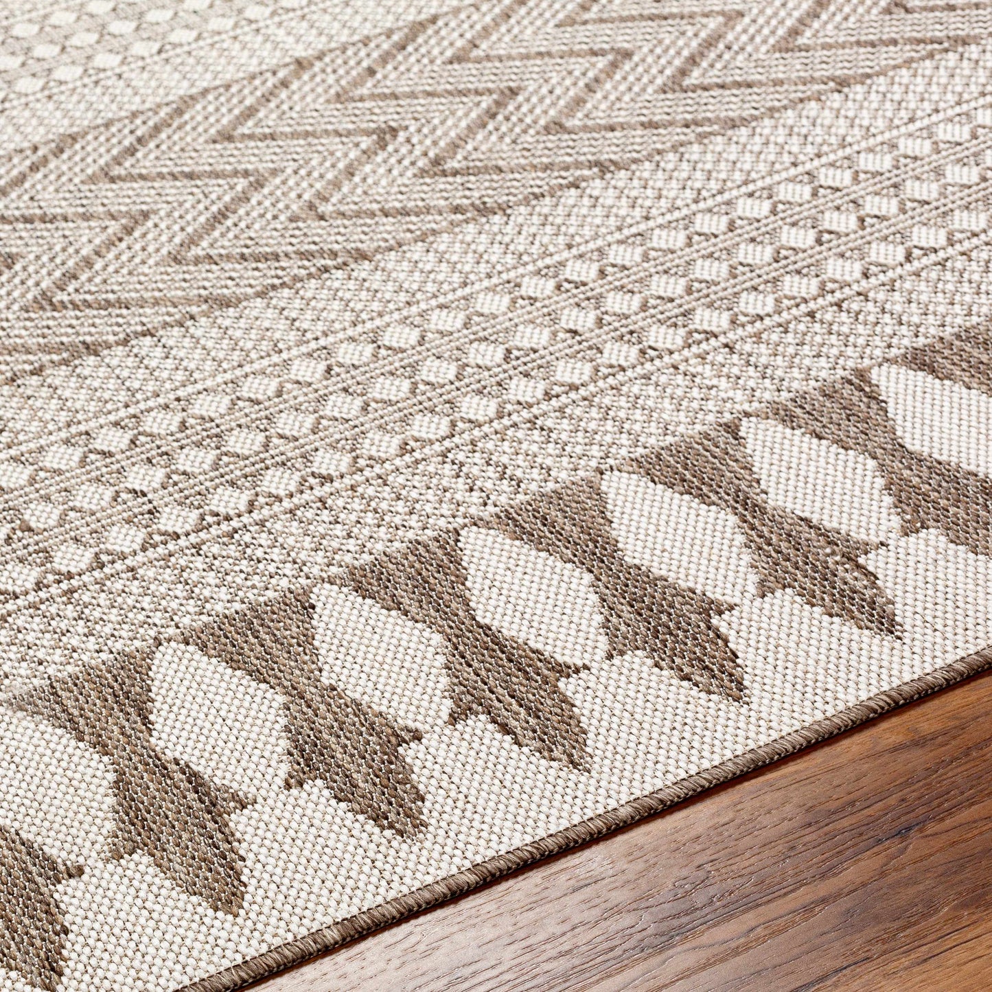 Asif Brown Outdoor Area Rug