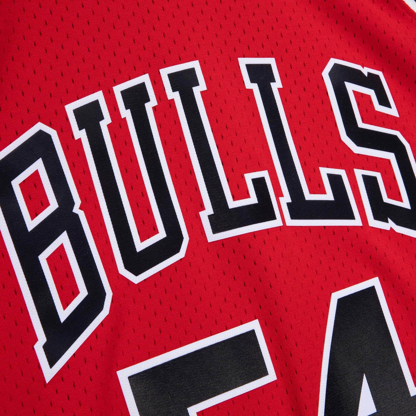 CHICAGO BULLS HORACE GRANT 1990-91-