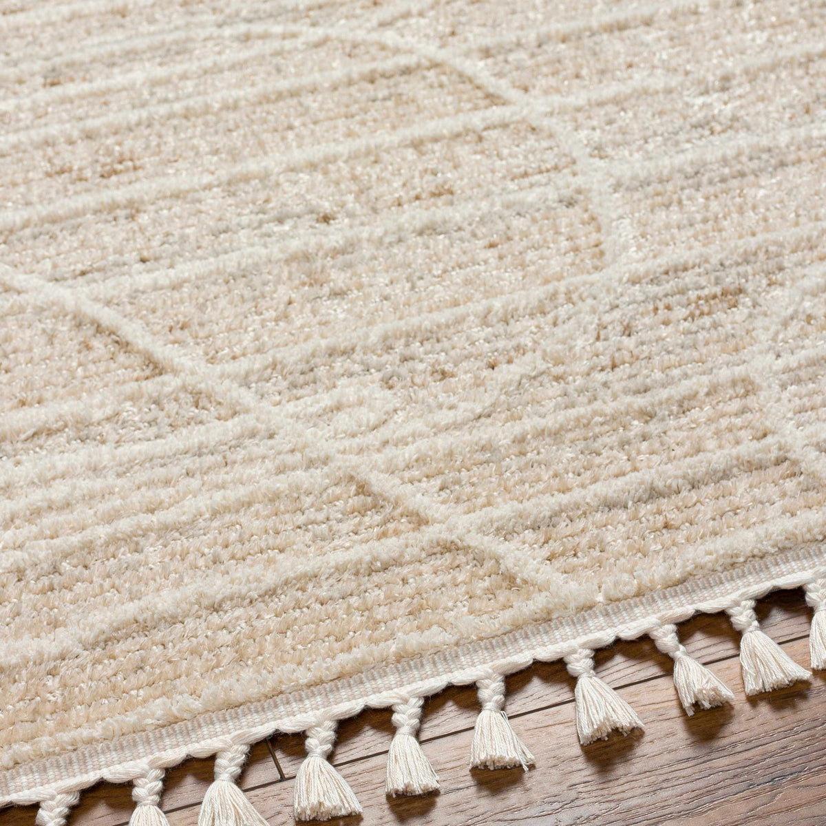 Inaya Area Rug