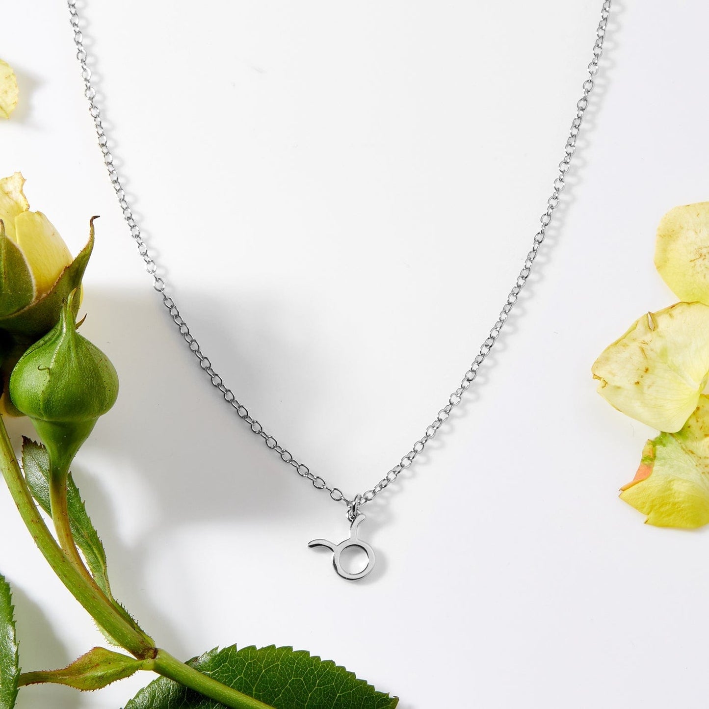 Starry Night Taurus Zodiac Necklace