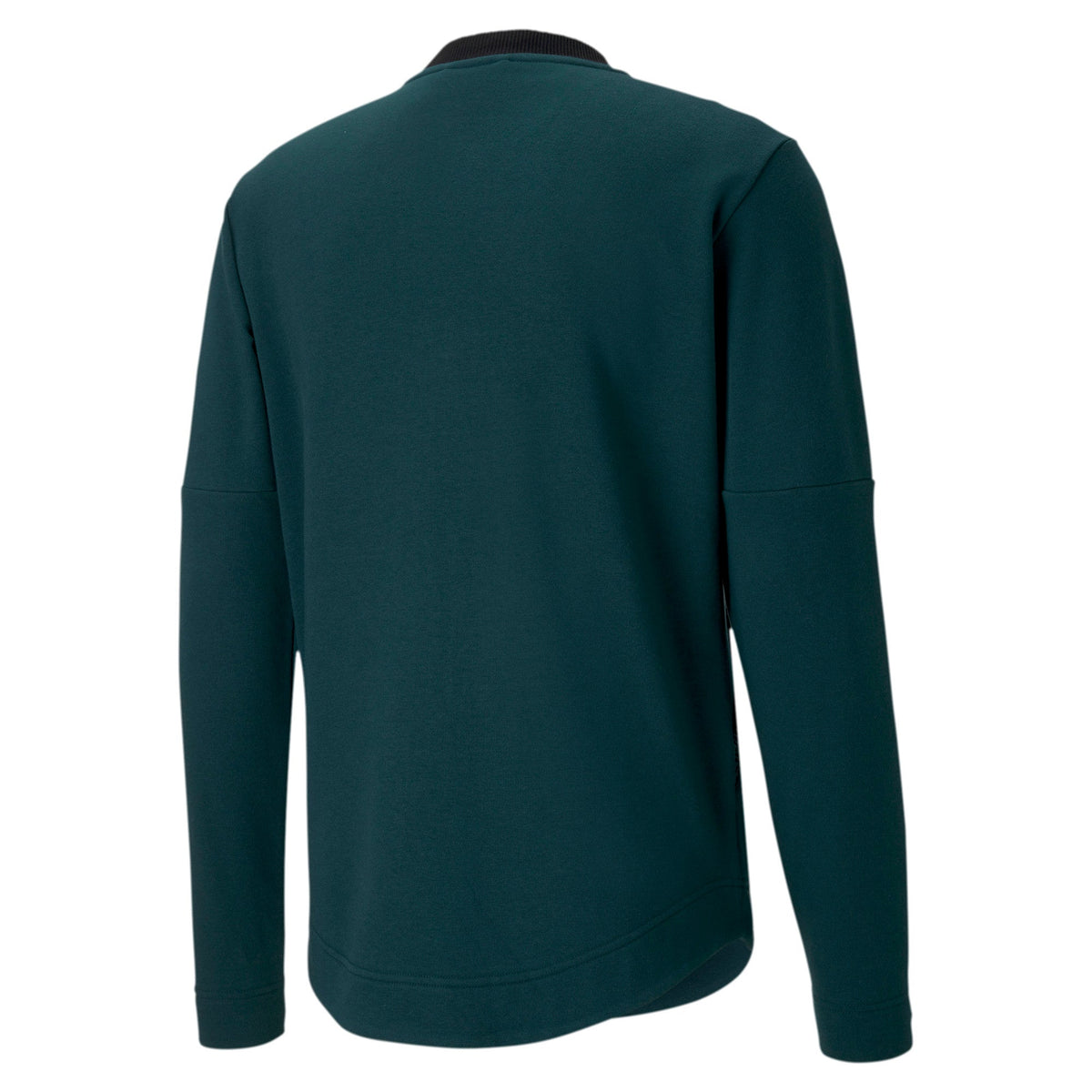 Puma Men's Figc Casuals Jacket Jackets