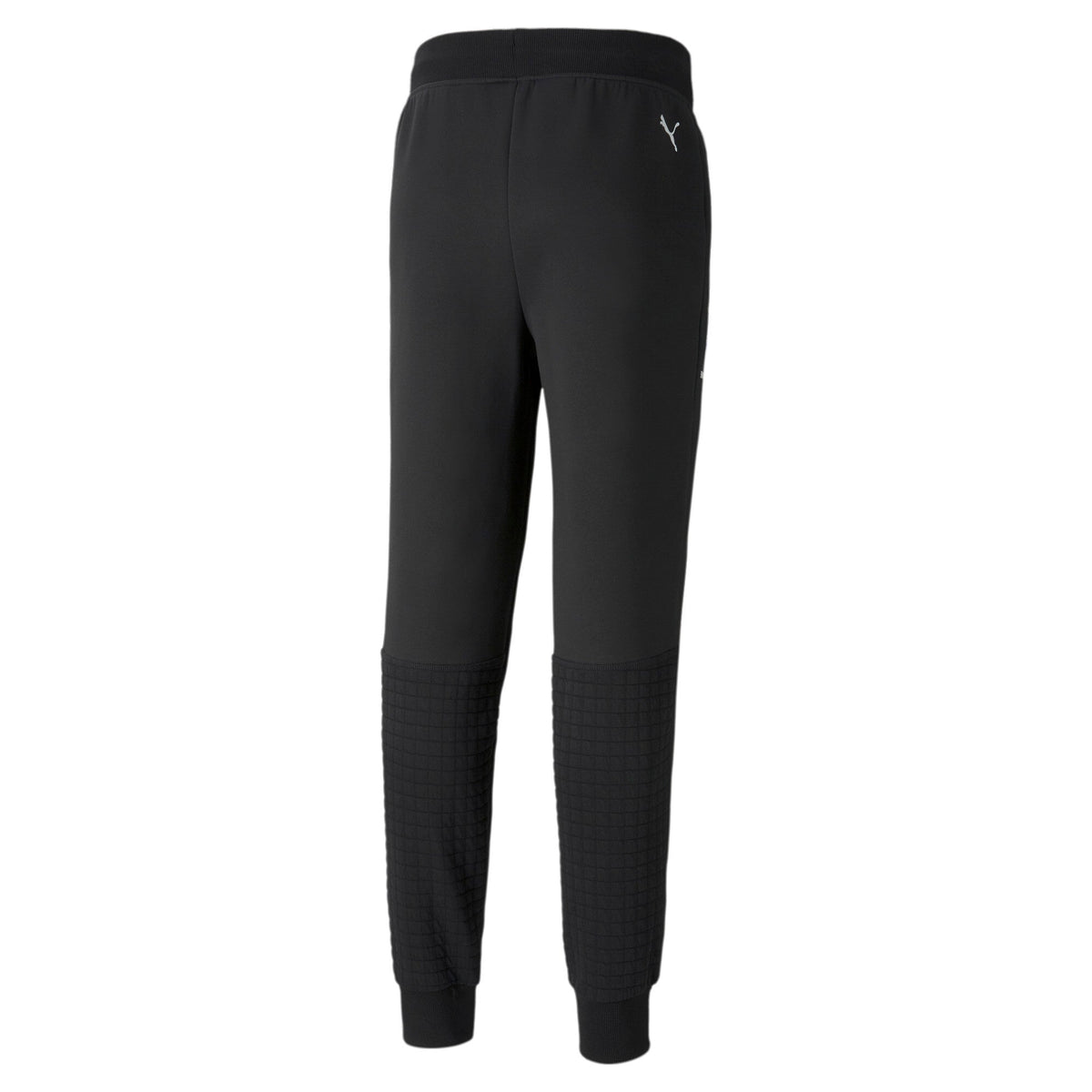 Puma Men's Bmw Motorsport Sweatpants Cc