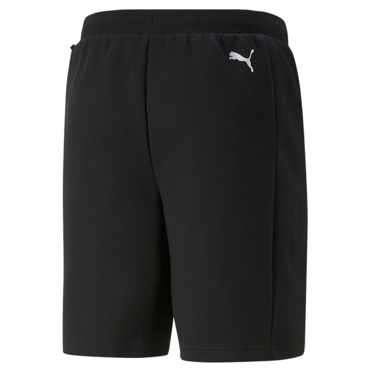 Puma Men's Bmw Motorsport Sweat Shorts
