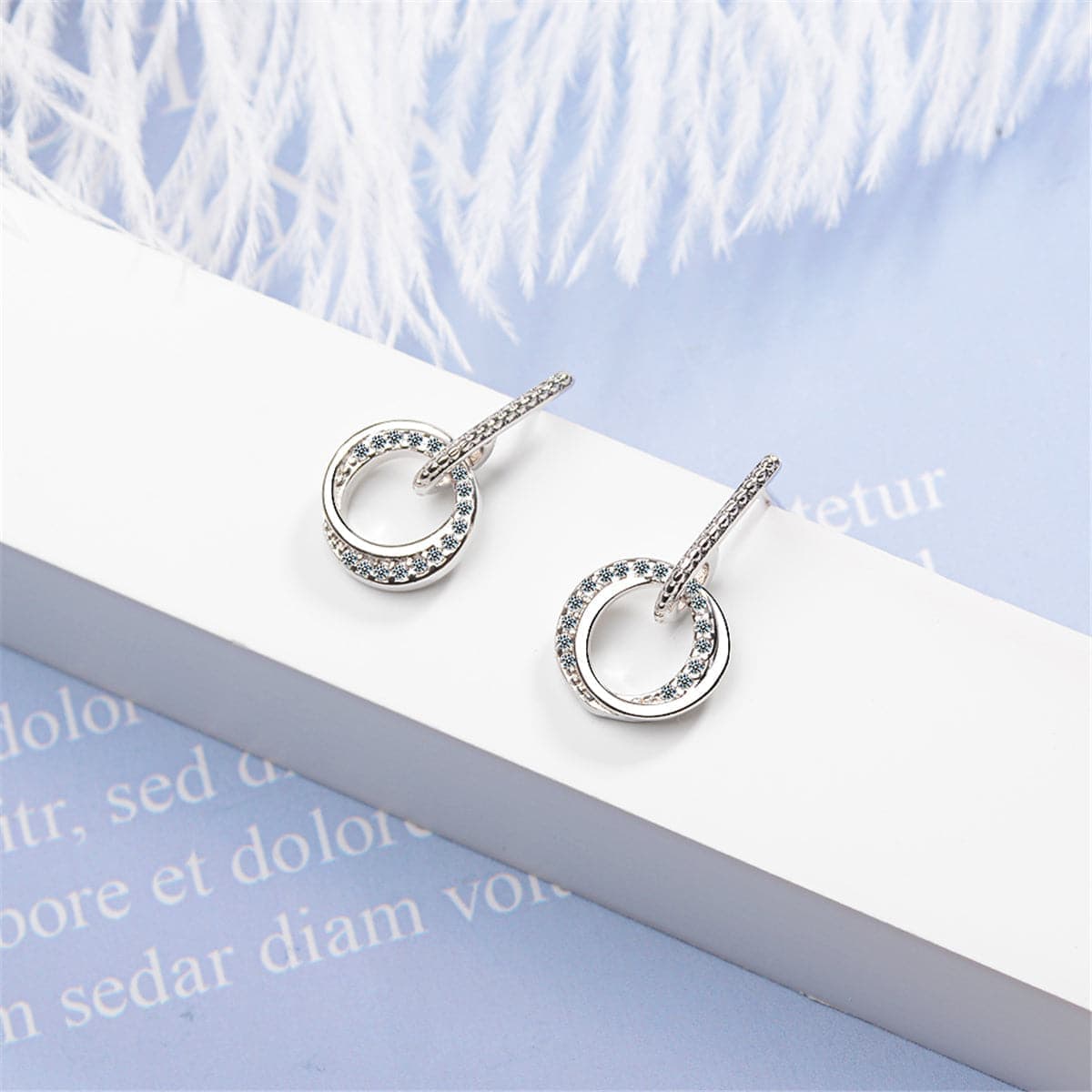 Cubic Zirconia & Silvertone Double-Circle Drop Earrings