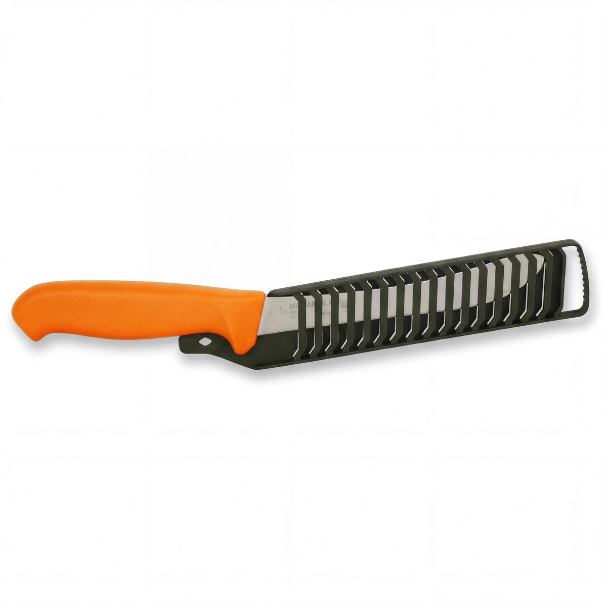 Burnt Orange-