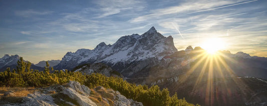 My Wake-Up Call - PROOZY