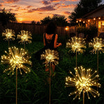 Lights and Decorations