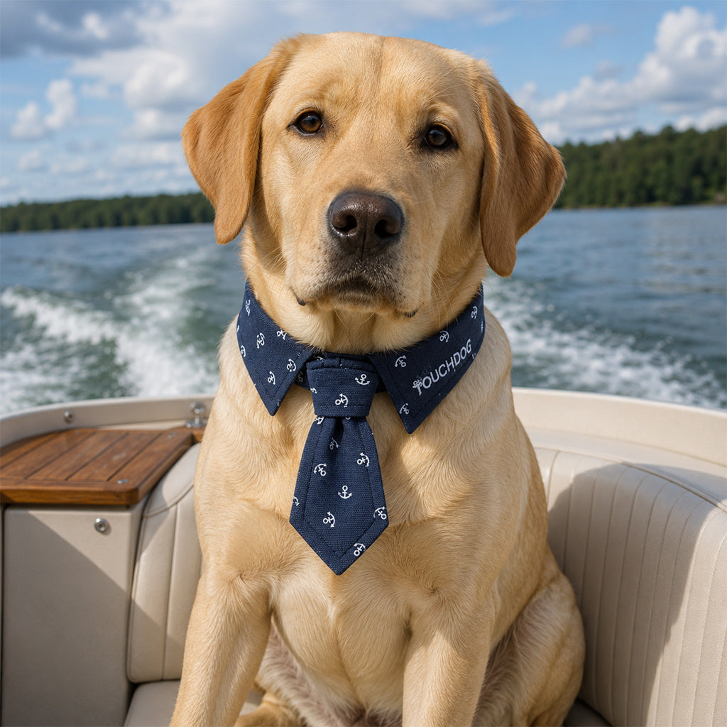 Flashsale–Newest at Pet Life: New Today