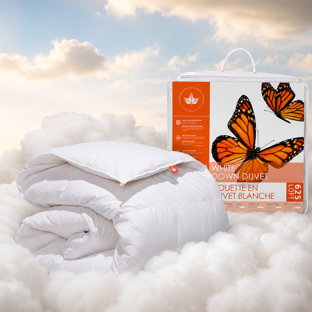 Flashsale–Best Deal of Canadian Down & Feather Company: New Today