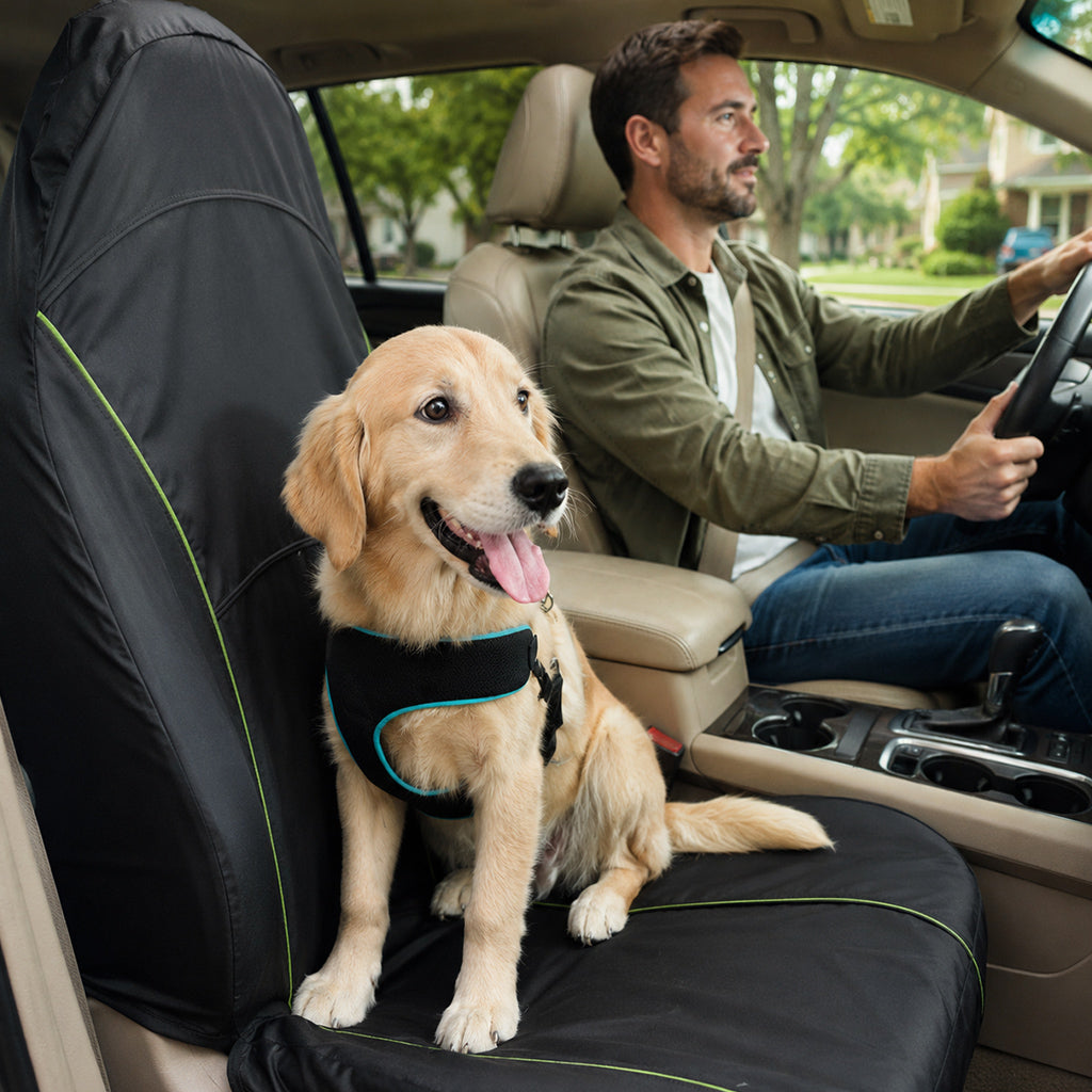 Flashsale–Happy Tails with Pet Life: New Today