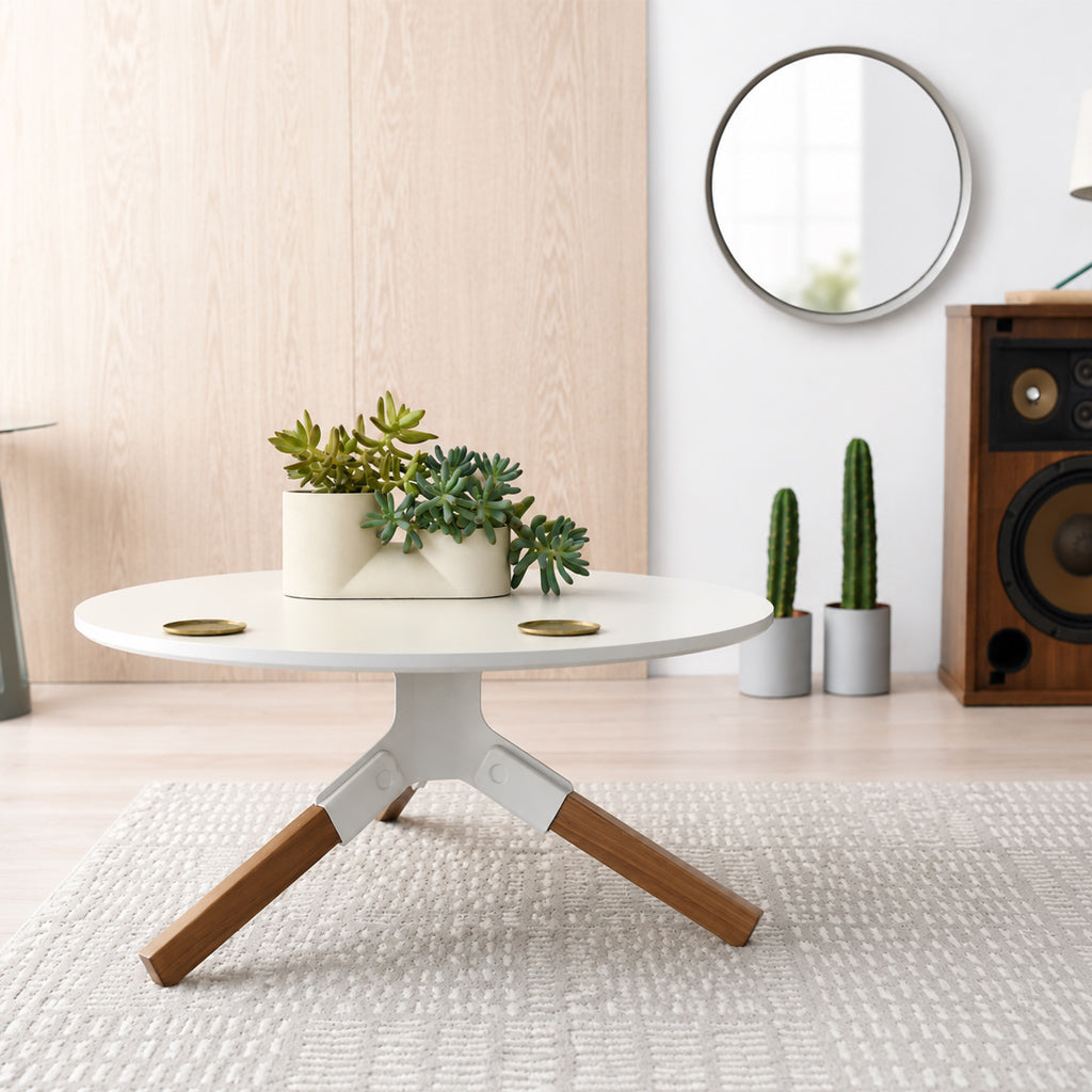 Flashsale–Discover Misewell: New Today