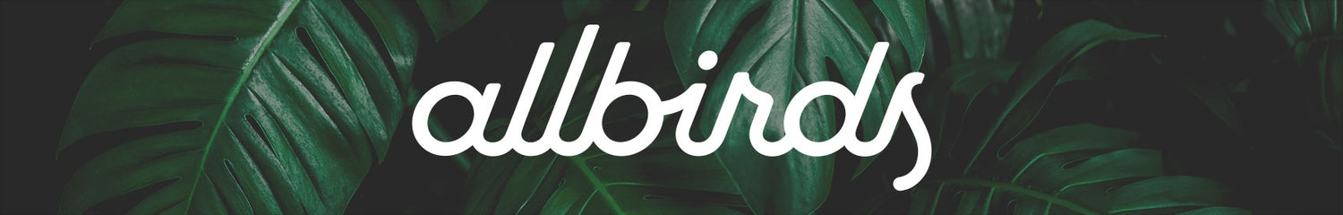 allbirds - PROOZY
