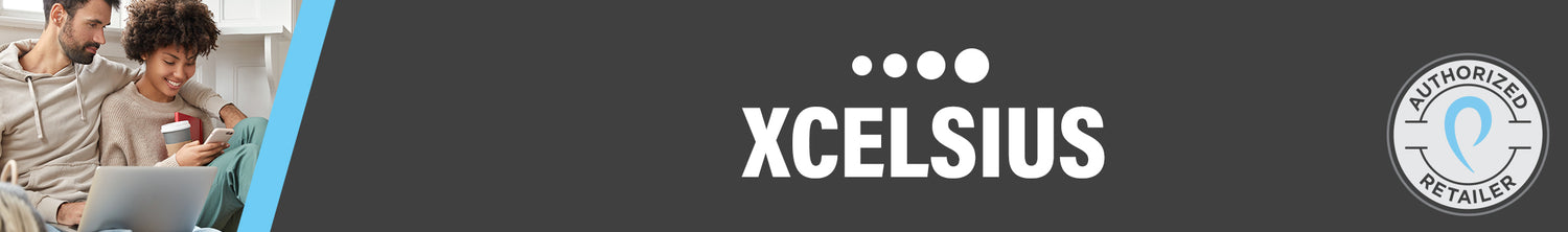 Xcelsius - PROOZY