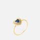 Blue - Gold