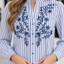 Blue Stripe