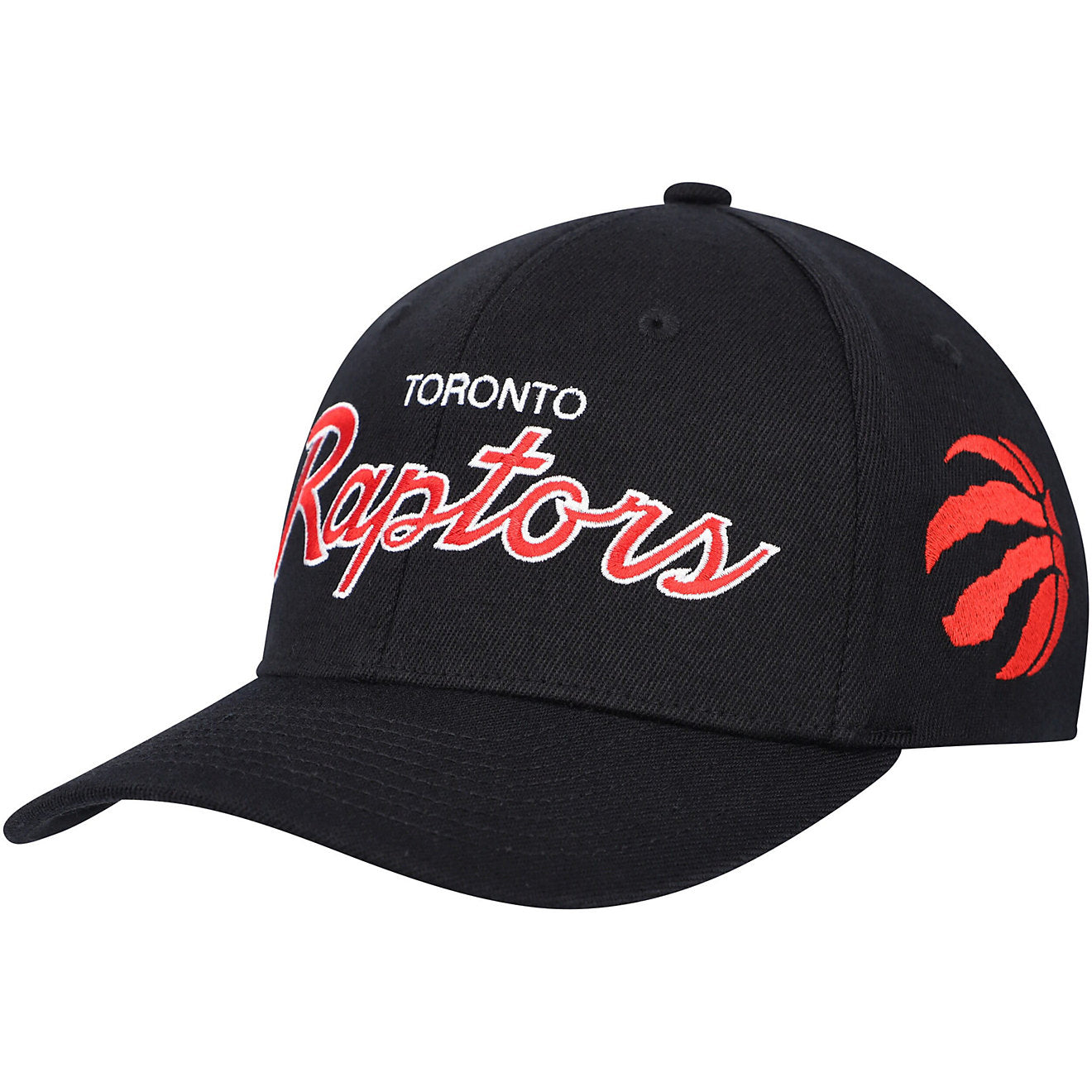 Mitchell & Ness Men's NBA Team Script 2.0 Stretch Snapback Raptors Snapback Caps