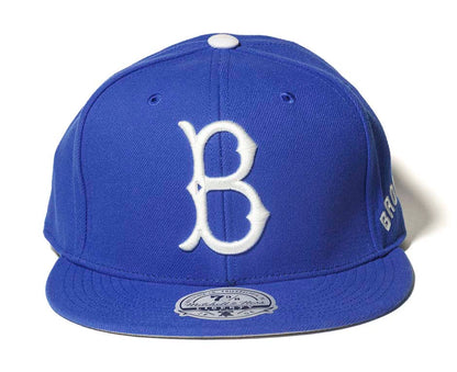 Mitchell & Ness Men's MLB Evergreen Fitted Coop Dodgers Fitted Caps